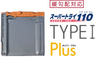 TYPE1 PLUS