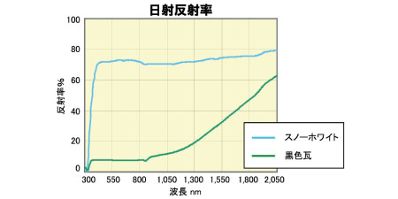 サマースノーと黒色瓦